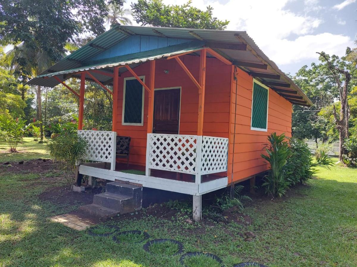 All Rankins Eco-Lodge Tortuguero Zewnętrze zdjęcie