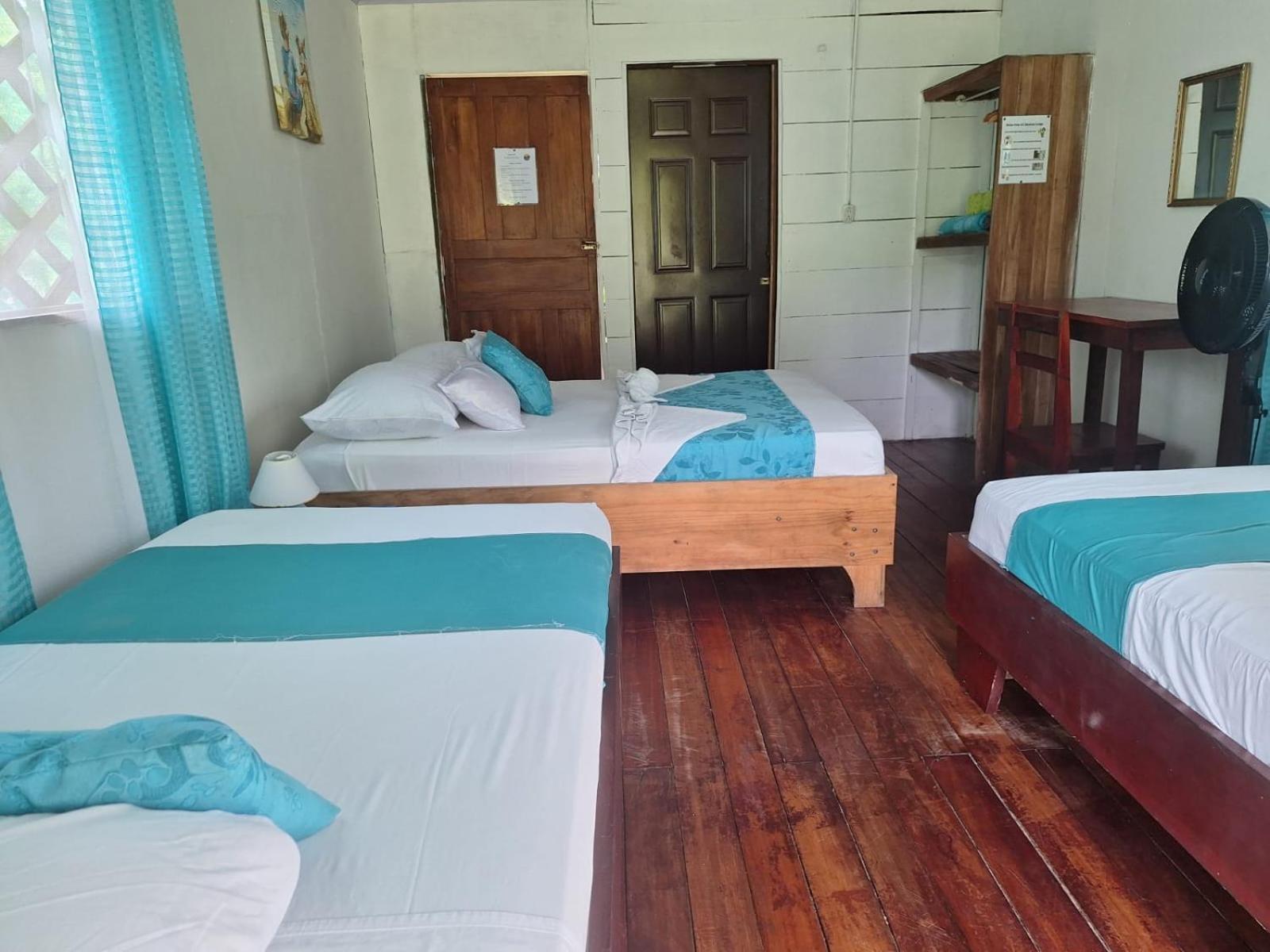 All Rankins Eco-Lodge Tortuguero Zewnętrze zdjęcie