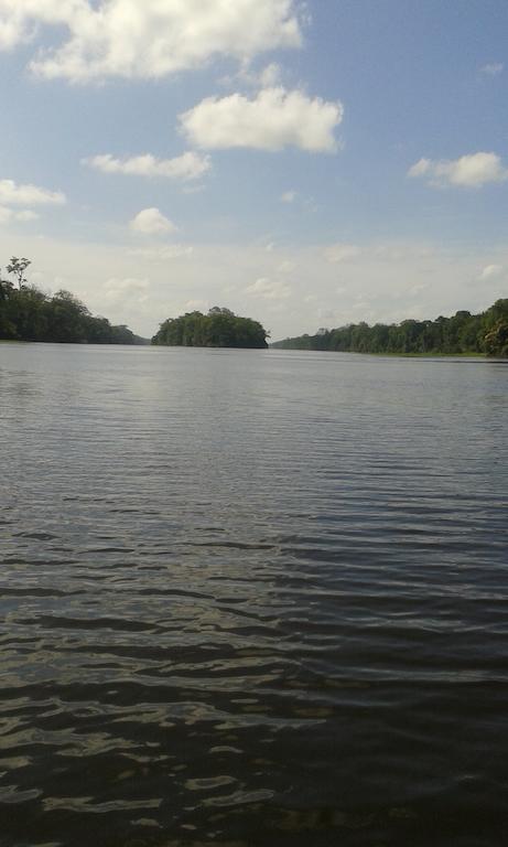 All Rankins Eco-Lodge Tortuguero Zewnętrze zdjęcie