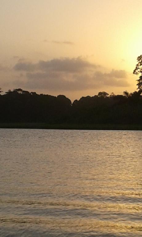 All Rankins Eco-Lodge Tortuguero Zewnętrze zdjęcie