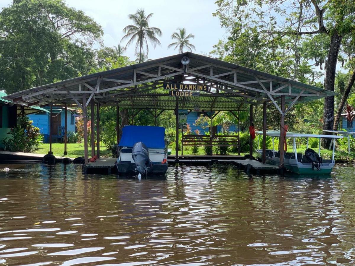 All Rankins Eco-Lodge Tortuguero Zewnętrze zdjęcie