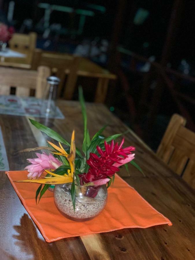 All Rankins Eco-Lodge Tortuguero Zewnętrze zdjęcie