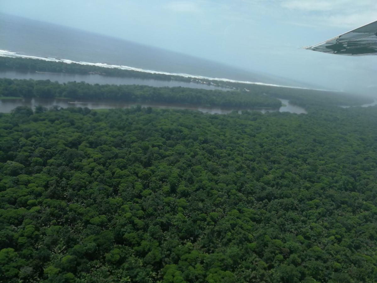 All Rankins Eco-Lodge Tortuguero Zewnętrze zdjęcie