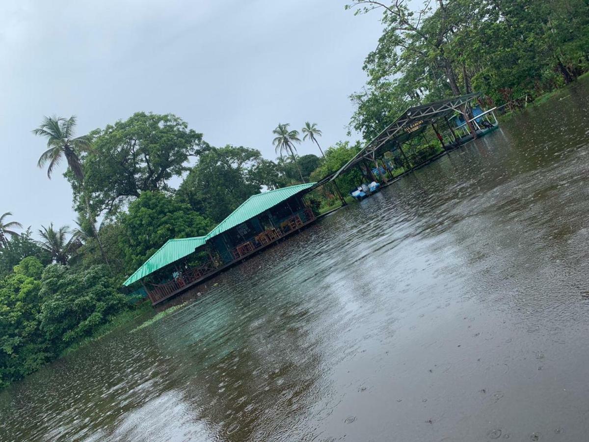 All Rankins Eco-Lodge Tortuguero Zewnętrze zdjęcie