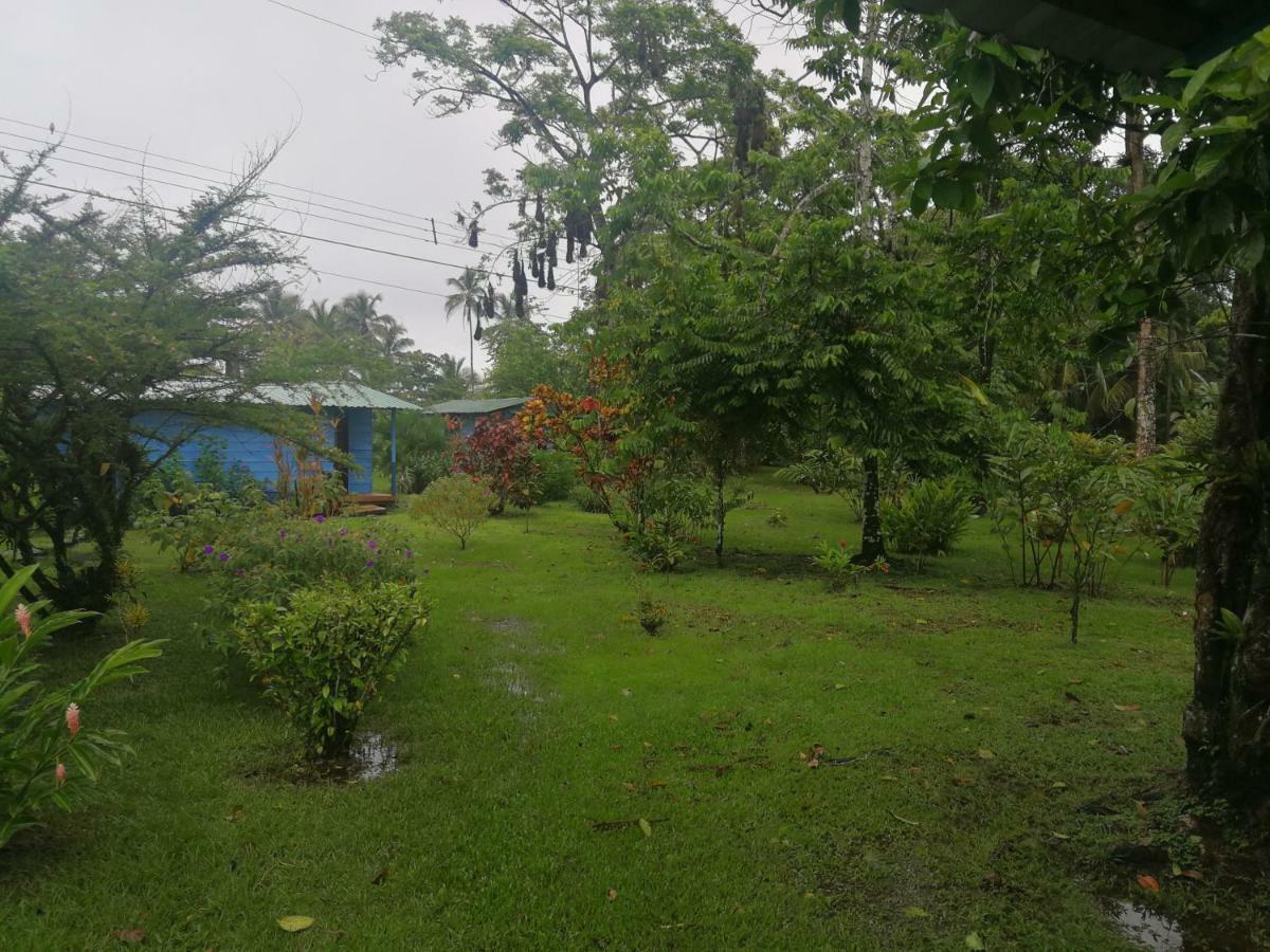 All Rankins Eco-Lodge Tortuguero Zewnętrze zdjęcie