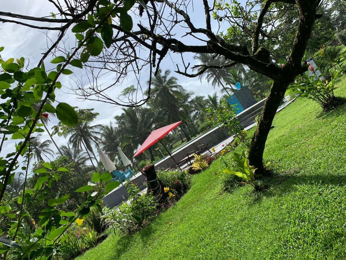 All Rankins Eco-Lodge Tortuguero Zewnętrze zdjęcie