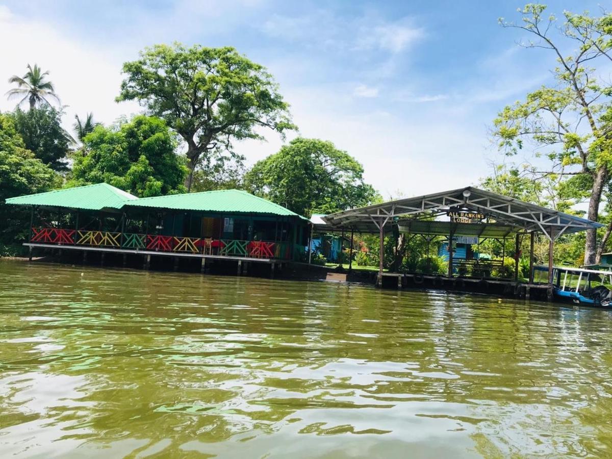 All Rankins Eco-Lodge Tortuguero Zewnętrze zdjęcie