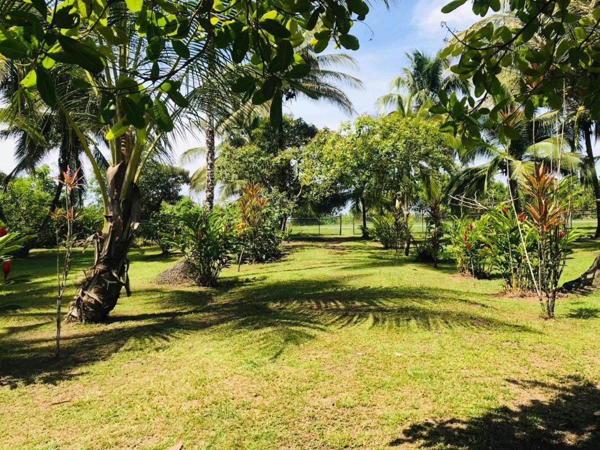 All Rankins Eco-Lodge Tortuguero Zewnętrze zdjęcie